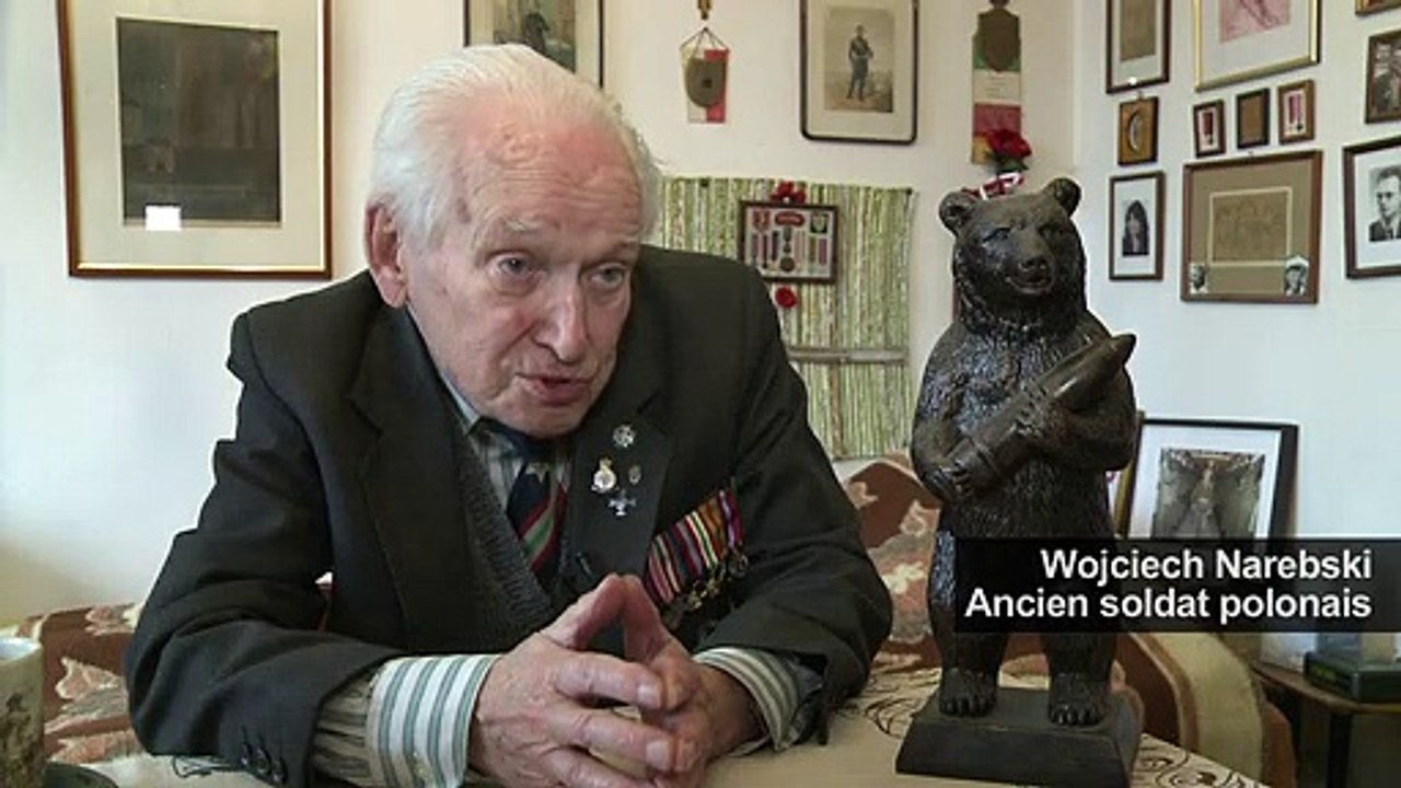 Un vrai "ours soldat", héros polonais de la 2e Guerre mondiale