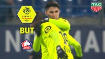 But Luiz ARAUJO (90ème +3) / SM Caen - LOSC - (1-3) - (SMC-LOSC) / 2018-19