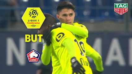 But Luiz ARAUJO (90ème +3) / SM Caen - LOSC - (1-3) - (SMC-LOSC) / 2018-19