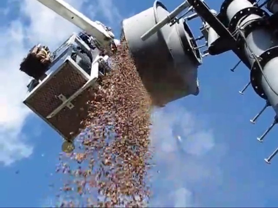 Quand un écureuil cache 35kgs de glands dans une antenne !
