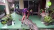 Cette famille indonésienne vie avec un crocodile dans leur maison