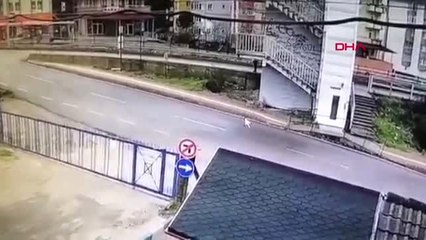 Bartın Köpeği Ezip Yoluna Devam Etti