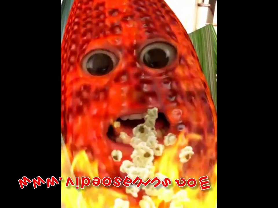 Les Snouksis - Blé Dinde