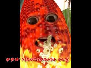 Les Snouksis - Blé Dinde