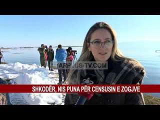 SHKODËR, NIS PUNA PËR CENSUSIN E ZOGJVE