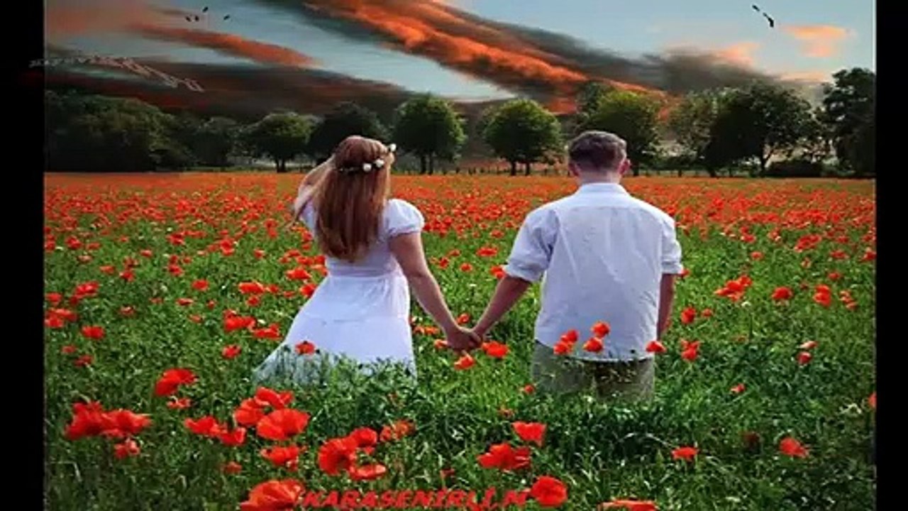 Oguz yilmaz Gurbet yolu