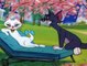 Tom and Jerry The Classic Collection Season 1 Episode 103 - Blue Cat Blues