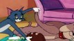 Tom and Jerry The Classic Collection Season 1 Episode 109 - Tom's Photo Finish