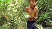 Primitive Technology - Smart boy cooking squid - Eating delicious