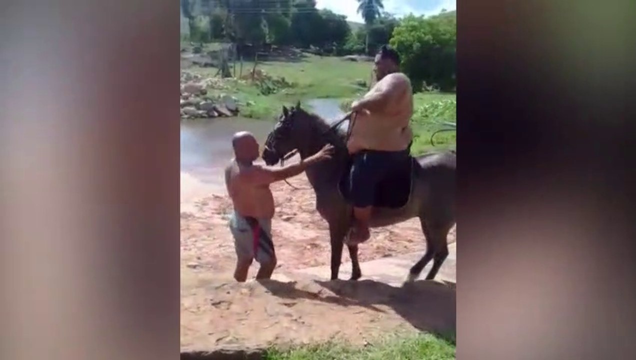Une courte balade en cheval !