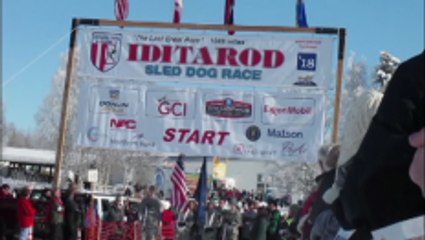 Official Start of 2018 Iditarod Sled Dog Race