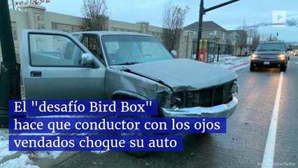 El "desafío Bird Box" hace que conductor con los ojos vendados choque su auto