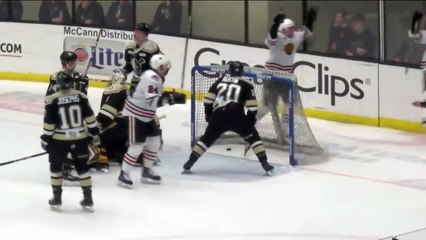 ECHL Indy Fuel at Wheeling Nailers