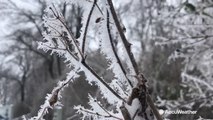 Impressive rime ice forms during winter storm