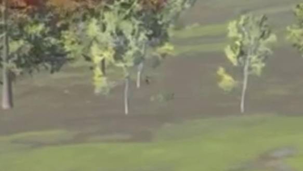 H1Z1 Deathdance