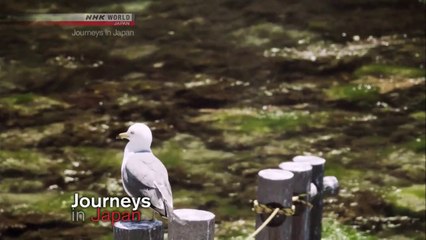 [sub] Journeys in Japan; Tobishima; Living Life on Island Time