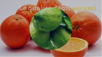 la qualità degli agrumi