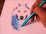 Dibujando lobo con plumas de colores