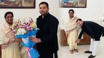 Election 2019 : Tejashwi Yadav predicts BJP's Whitewash after meeting Mayawati | Oneindia News