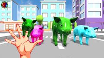 Learn Colors Song For Childrens Orange Color Orange Color Where Are You ## || color pigs