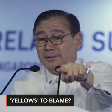 Locsin blames 'Yellows' for passport data loss