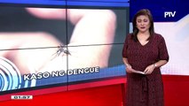 DOH, nagbabala sa tumataas na bilang ng dengue sa CARAGA region