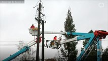 PG&E Discussing Bankruptcy Options