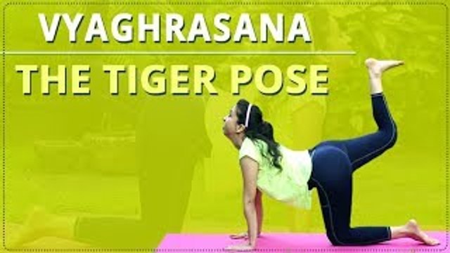 LEARN HOW TO do the TIGER POSE | Vyaghrasana | Simple Yoga | Yoga For Beginners | Mind Body Soul