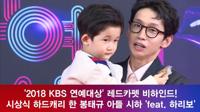 '2018 KBS 연예대상' 비하인드, 레드카펫 하드캐리한 봉태규 아들 시하 'feat. 하리보'