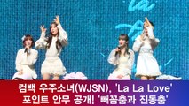 컴백 우주소녀(WJSN), 'La La Love' 포인트 안무 공개! '빼꼼춤과 진동춤'