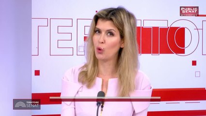 Invité : David Assouline - Territoire Sénat (14/01/2019)