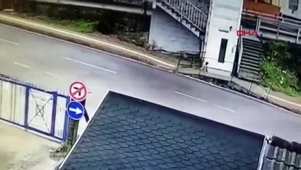 Yavru köpeği ezip yoluna devam etti