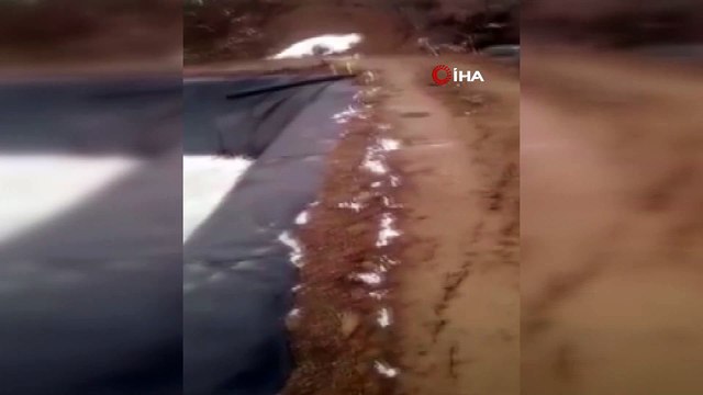 Buz tutan havuzda yaşam savaşı