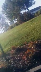 Une voiture de sport en cadeau de noël qui n'a pas fait long feu