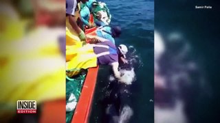 Good Samaritans rush to help trapped whales