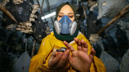 Tadını Beğenip Üretmeye Başladığı Mantardan 2 Yılda 100 Bin TL Kazandı