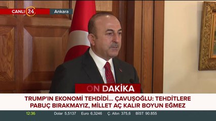 Teröristleri silahları ile birlikte rejim destekçileri gönderdi