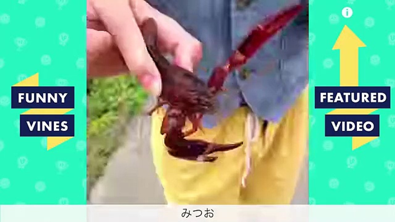 TRY NOT TO LAUGH CHALLENGE The Best Funny Vines Videos of All Time Compilation #2 April 2018