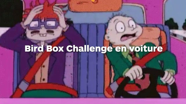 Deux ados réalisent le Bird Box Challenge en voiture, elles conduisent les yeux bandés !