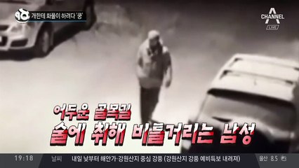 개한테 화풀이 하려다 ‘쿵’