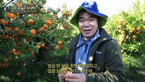 세계테마기행 - 푸른 바다의 전설, 아드리아해 1부- 베네치아 상인의 모험_#002