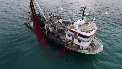 Karadeniz'de torik bereketi