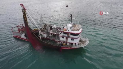 Karadeniz'de Torik Bereketi