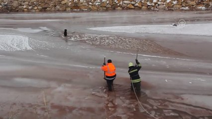 Donan Kızılırmak'ta Mahsur Kalan Köpeği İtfaiye Kurtardı