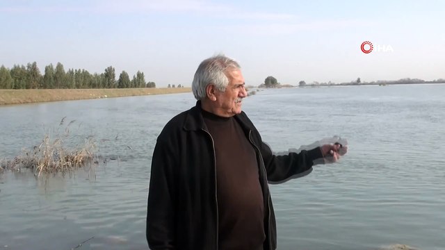 Aşırı yağışlar nedeniyle Seyhan Nehri taştı tarlalar sular altından kaldı