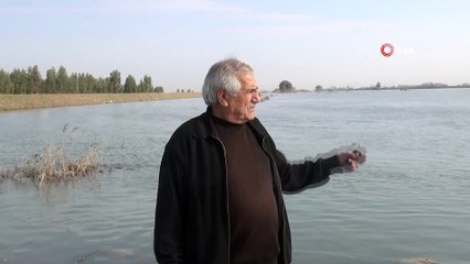 Aşırı yağışlar nedeniyle Seyhan Nehri taştı tarlalar sular altından kaldı