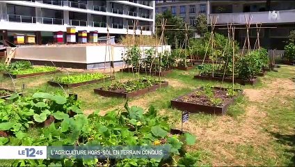 L'agriculture hors-sol en terrain conquis