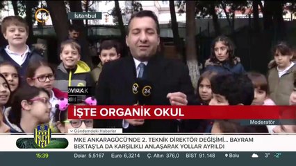 İşte organik okul
