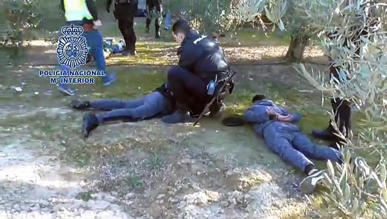 Detenidas 182 personas durante el Campeonato Nacional de Peleas de Gallos en Murcia