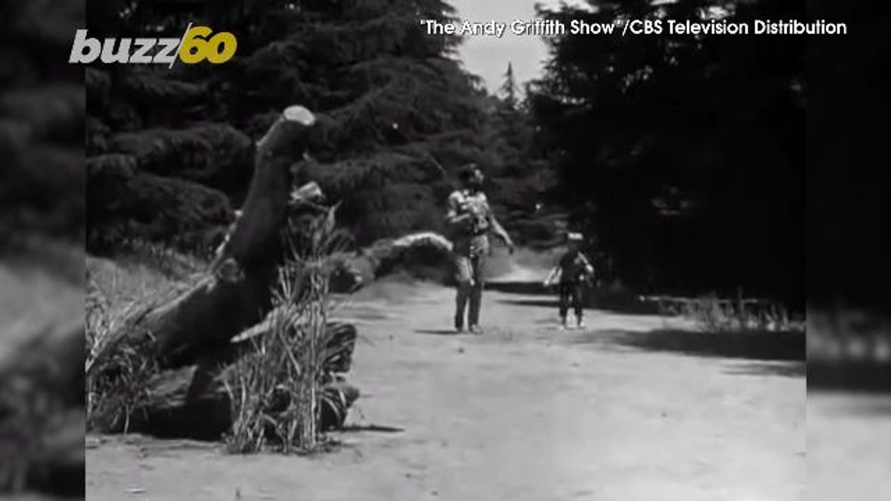 'Andy Griffith Show' Star Gifted $100K to 'Mayberry' Like Police Department in Will